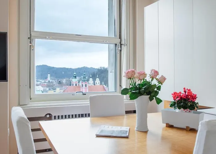 公寓 Skyscraper Amazing Castle & View 卢布尔雅那